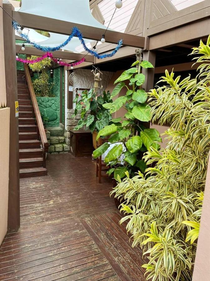 Pousada Casa Do Oscar جوفيرنادور سيلسو راموس المظهر الخارجي الصورة